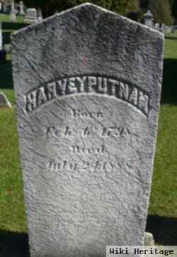 Harvey Putnam