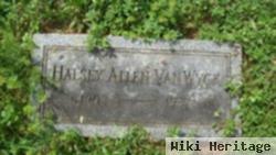 Halsey Allen Van Wyck