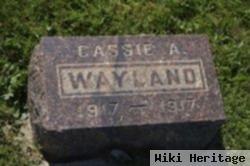 Baby Cassie A. Wayland