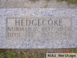 Norman Vaughn Hedgecoke