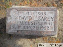 David L Carey