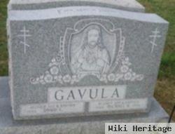 David C Gavula