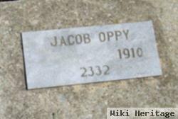 Jacob M. Oppy