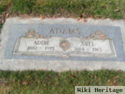 Abel Adams