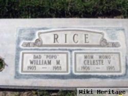 William Mckinley Rice