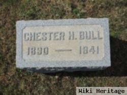 Chester Holloway Bull