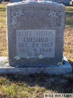 Alice Tipton Chessher