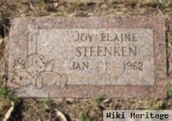 Joy Elaine Steenken