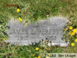 James L Perfetti