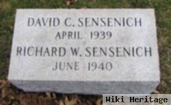 David C Sensenich