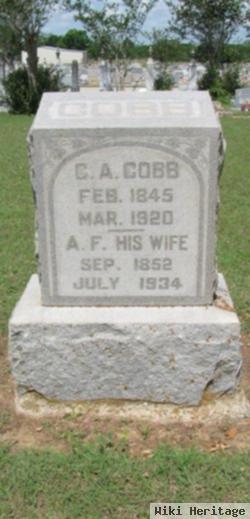 Charles Albert Cobb