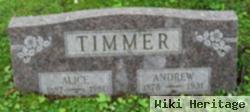 Alice Dykema Timmer