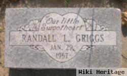 Randall L. "randy" Griggs