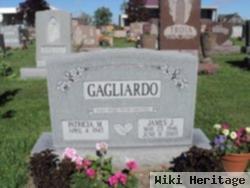 James J Gagliardo, Sr