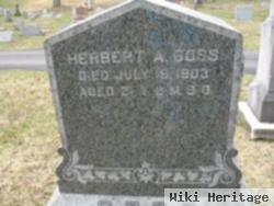 Herbert A Goss