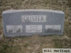 Homer E Custer