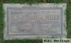 Henry Elmer Mills