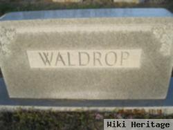 Henry G. Waldrop, Jr