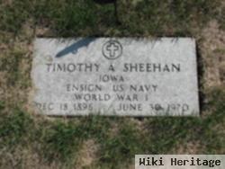 Timothy Aloysius Sheehan