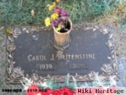 Carol Britenstine