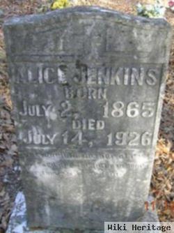 Alice Badgett Jenkins