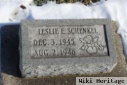 Leslie E. Schenkel