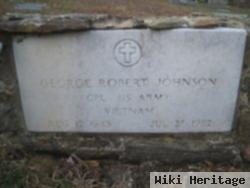 George Robert Johnson