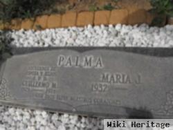 Guillermo M Palma