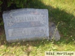 Louise M Sullivan