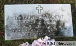 Delbert C Nugent