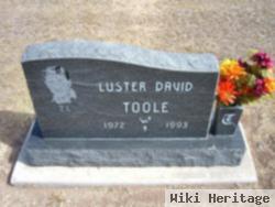 Luster David Toole