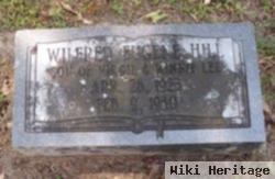 Wilfred Eugene Hill