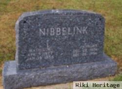 Anthony Henry Nibbelink