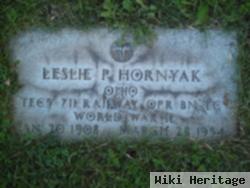 Leslie P Hornyak