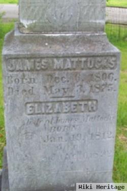 Elizabeth Mattocks