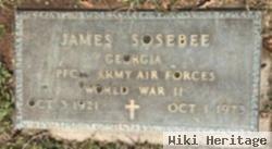 James Sosebee