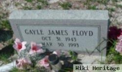 Gayle James Floyd