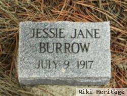 Jessie Jane Burrow