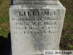 Lilly M. Y. Hood