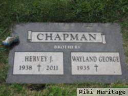 Wayland George Chapman