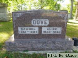 Alice Dove