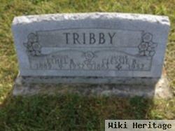 Ethel B Alexander Tribby