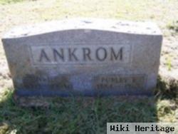 Purley Ray Ankrom