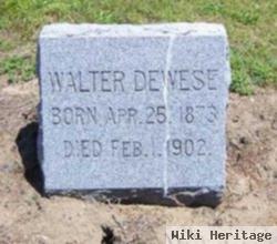 Walter Dewese