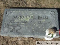 David Carl Palm