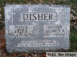 Ted B Disher, Jr