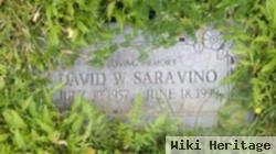 David Wayne Saravino