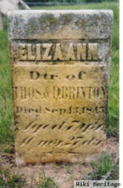 Eliza Ann Brinton