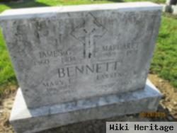 Lawrence W Bennett