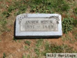 Andrew Wilson